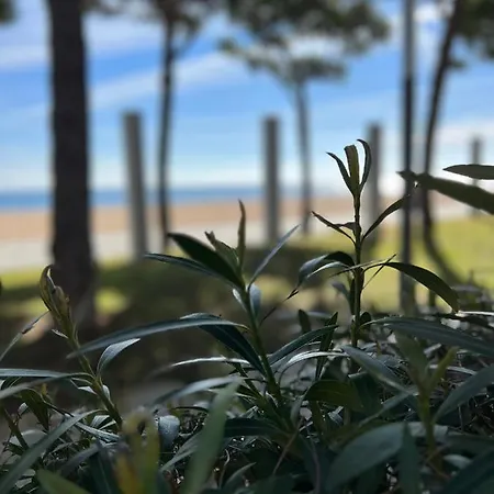 Appartamento Tamarius Beach *