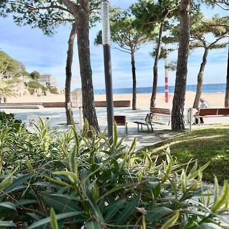 Tamarius Beach Apartment
